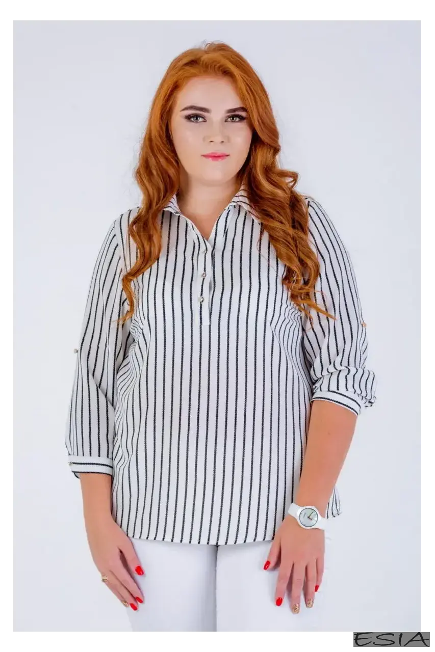 Esia модель № 2840 Esia модель № 2840